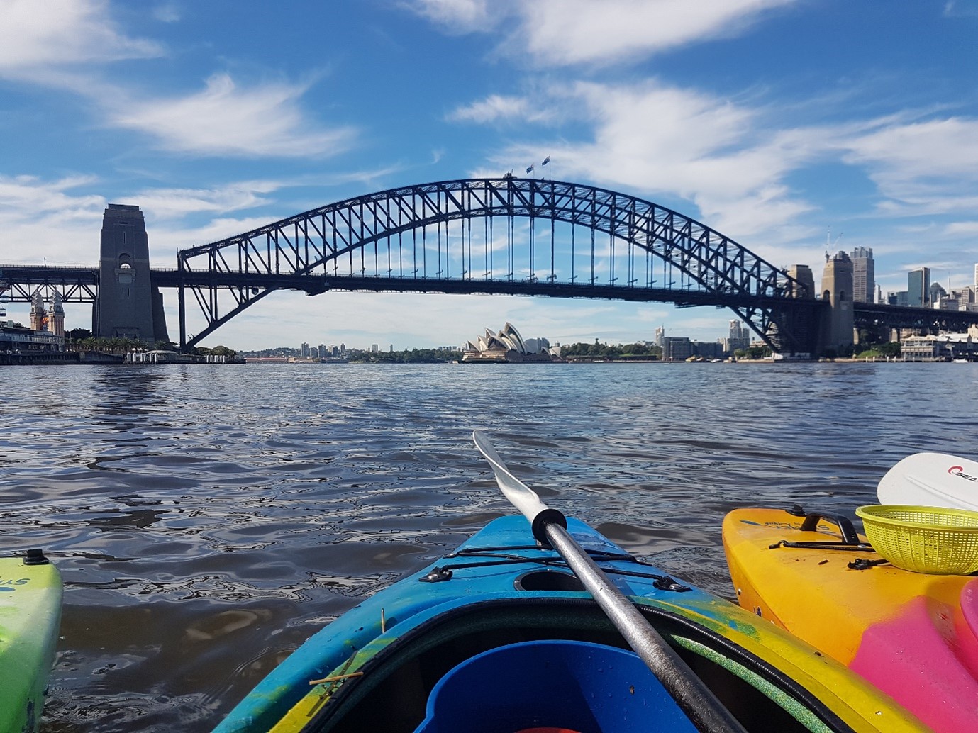 Our responsible paddlers cleaning up Lavender Bay